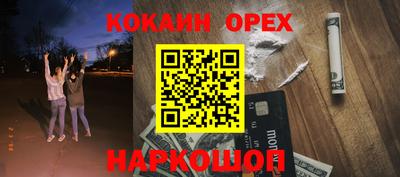 крисы Будённовск