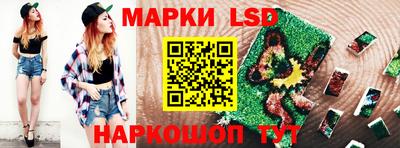 крисы Будённовск