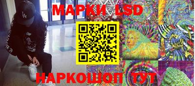 крисы Будённовск