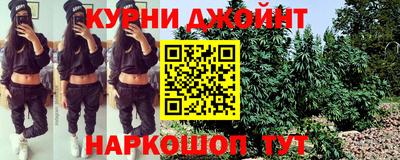 крисы Будённовск