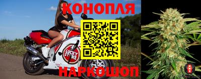 крисы Будённовск