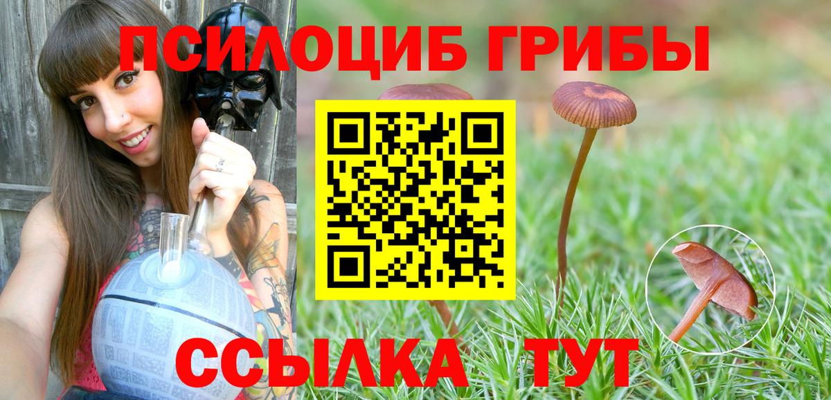 Галлюциногенные грибы Psilocybe  Вход с VPN  Ставрополь 