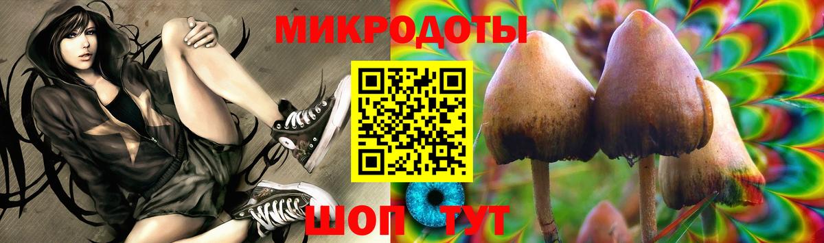 Псилоцибиновые грибы прущие грибы Ставрополь